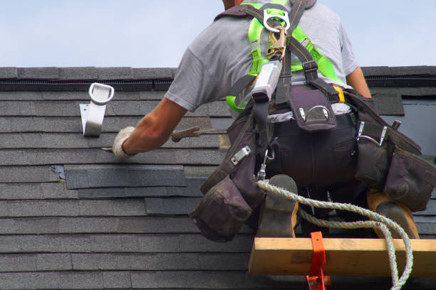 Best Roof Gutter Cleaning  in Malmstrom Af, MT