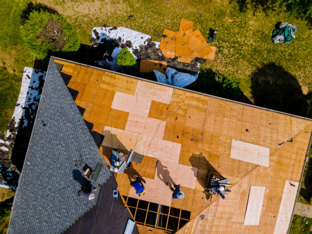 Roof Gutter Cleaning in Malmstrom Af, MT