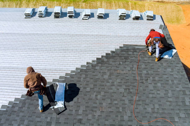 Best Shingle Roofing Installation  in Malmstrom Af, MT