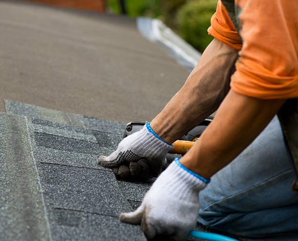 Best Flat Roof Repair Services  in Malmstrom Af, MT