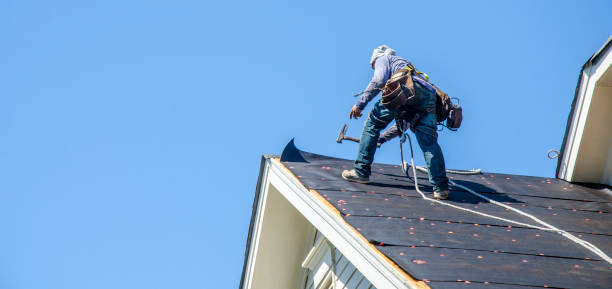 Best Storm Damage Roof Repair  in Malmstrom Af, MT
